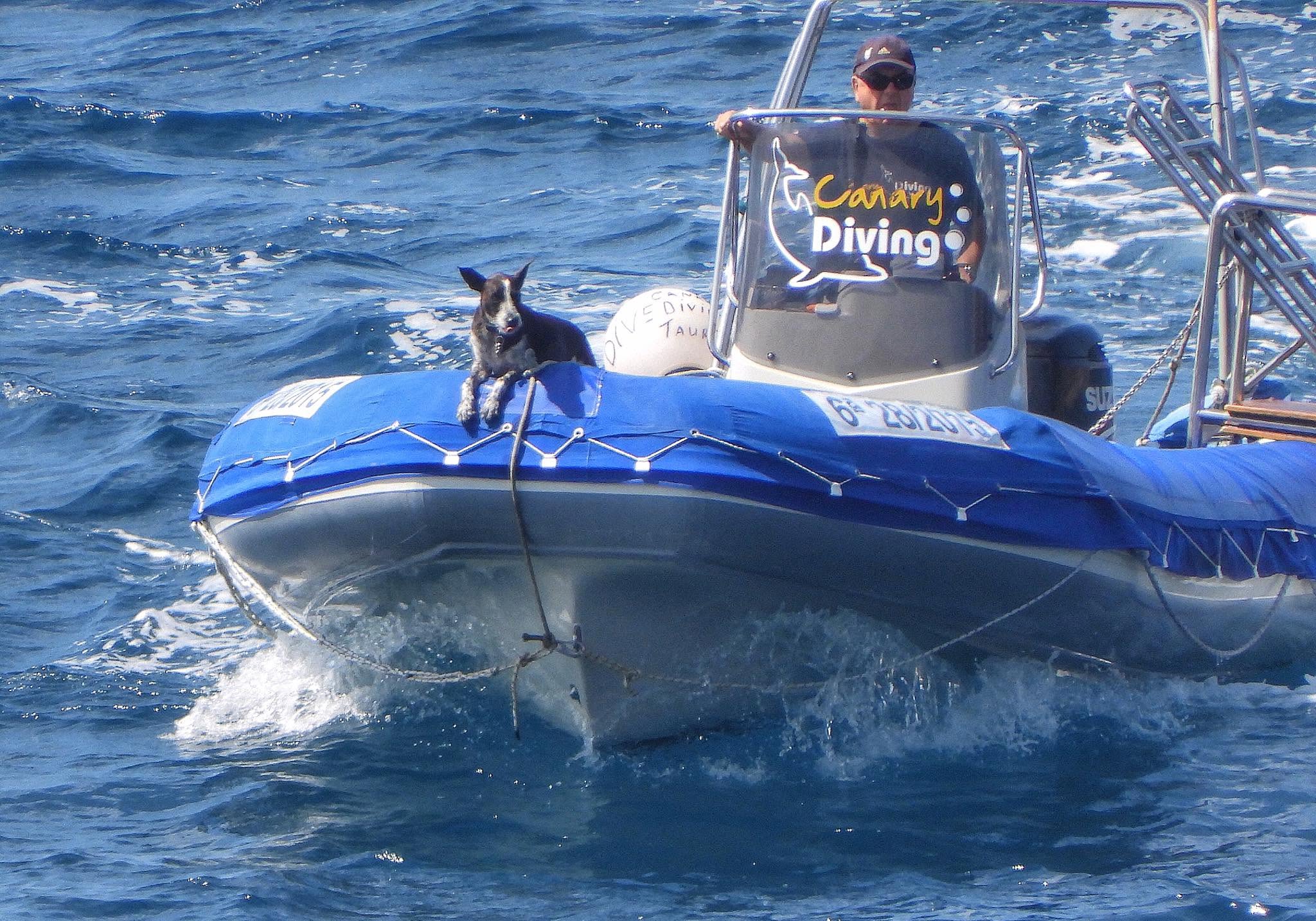 Support Jerry's 3-day coast-to-coast charity walk over Gran Canaria - Image 4